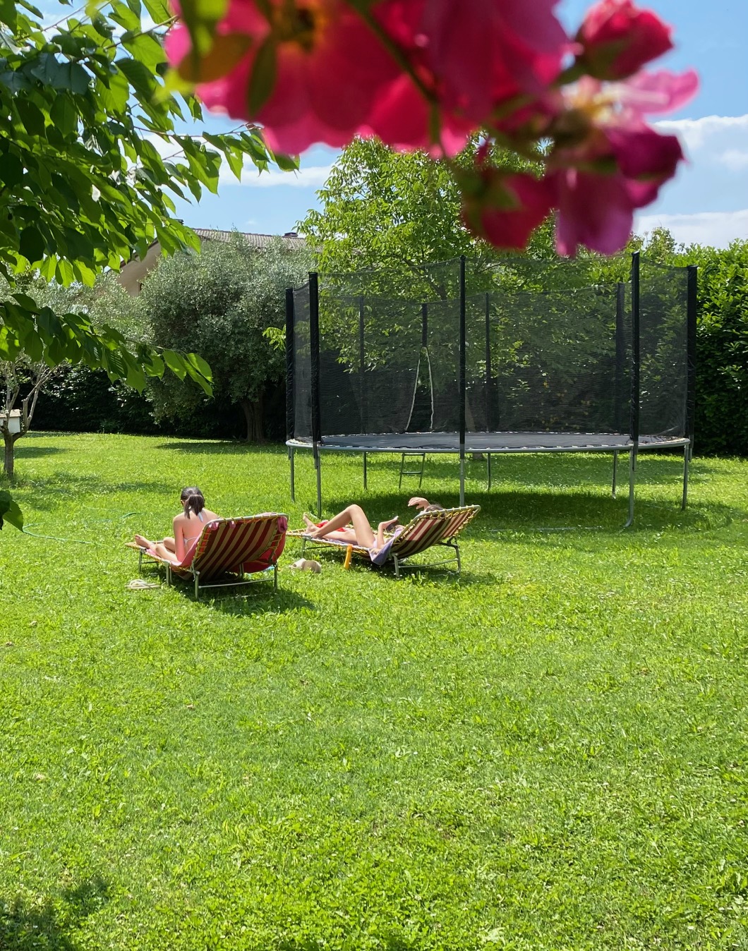 Giardino con sdraio