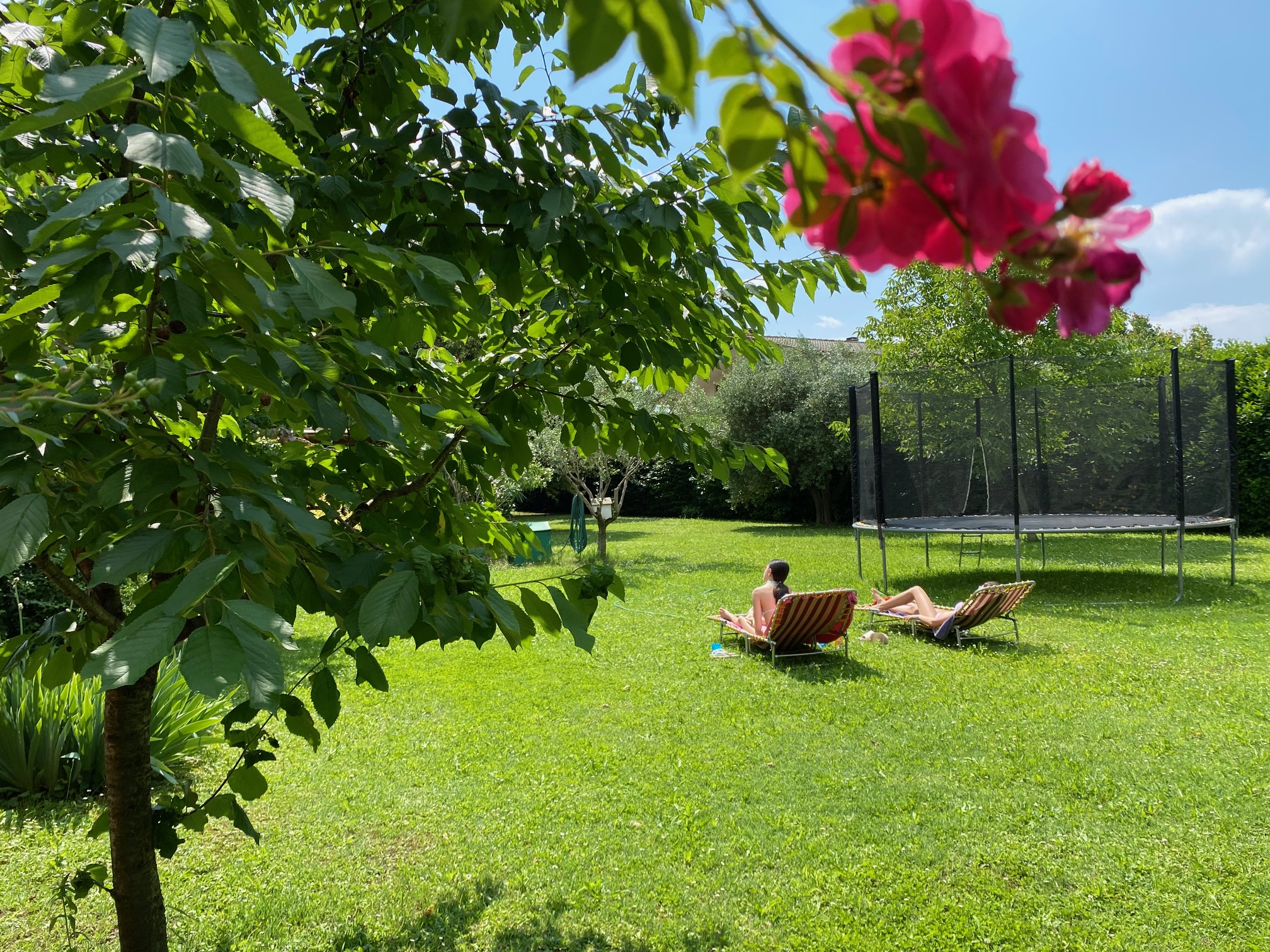 Giardino con sdraio